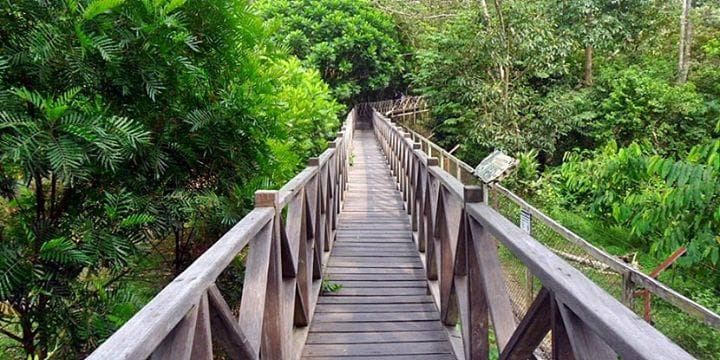 Jembatan kecil yang mengelilingi tempat dimana ada beruang madu
