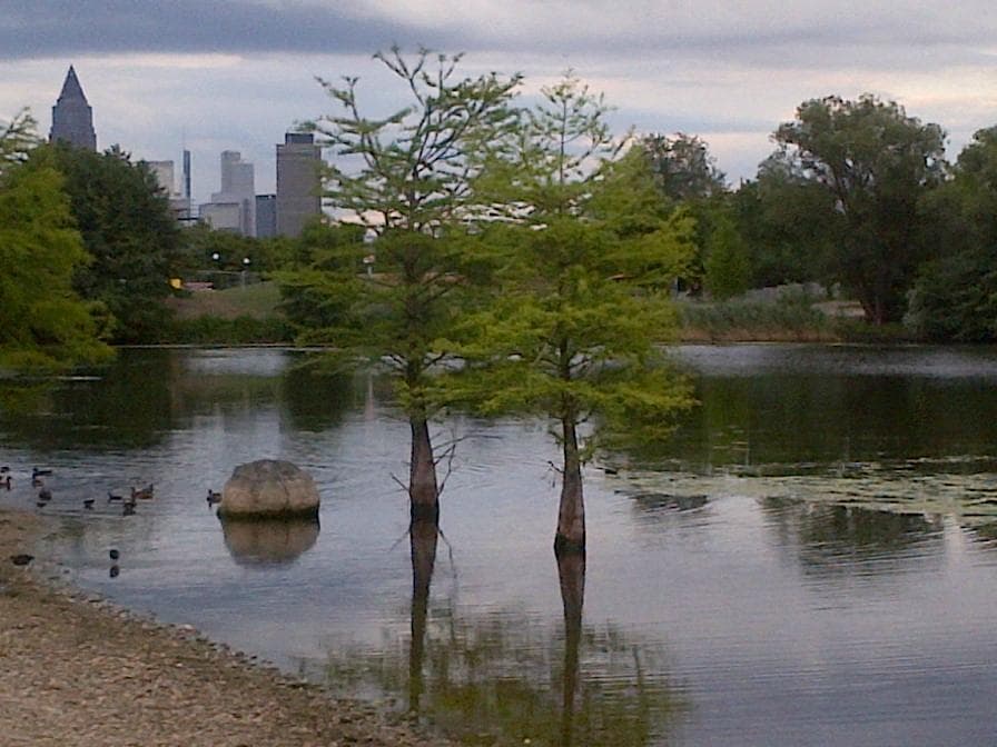 Rebstockpark