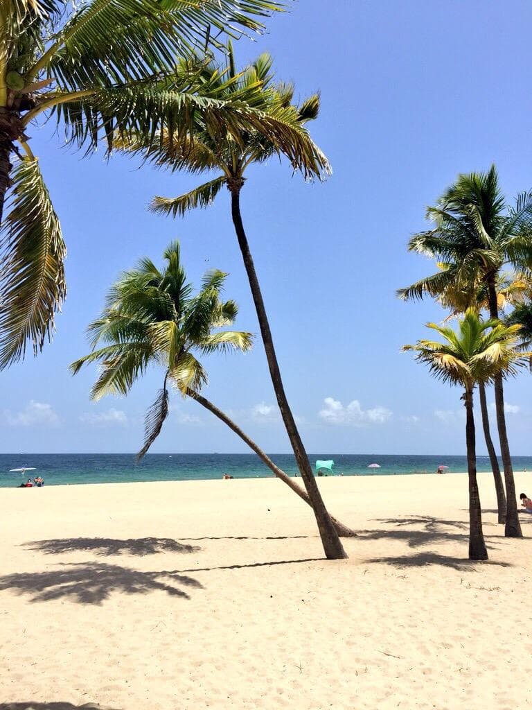 Very nice beaches and park area