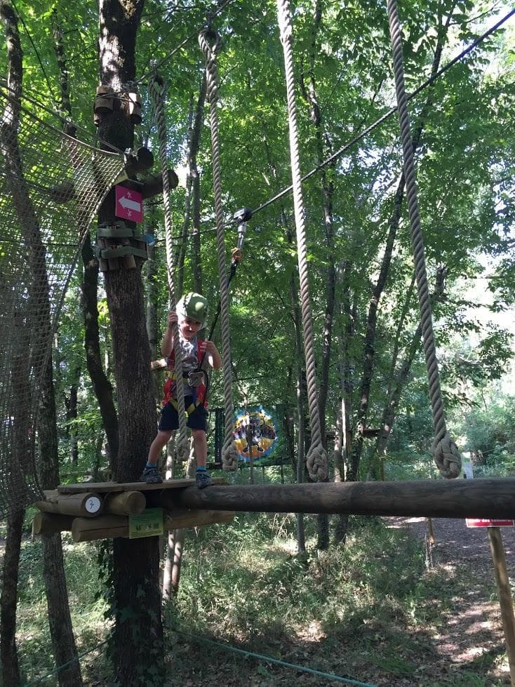 Le 1er parcours (facile) dans les arbres