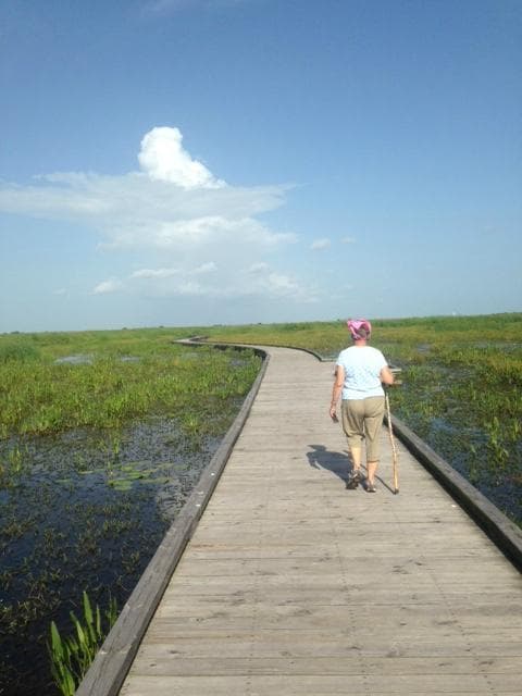 Wide boardwalks make access easy