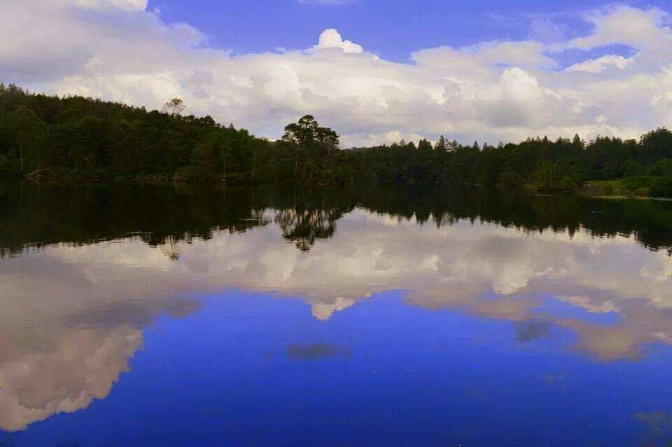 Tarn Hows #meandmycamera #liannesaad