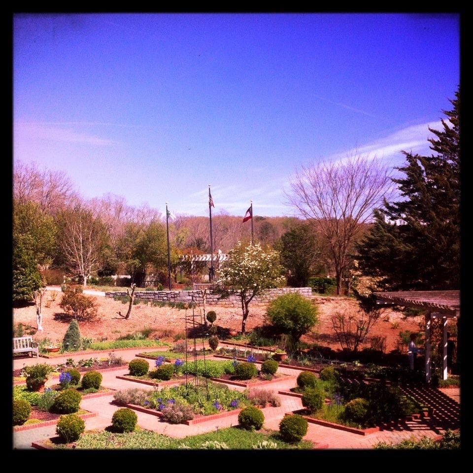 garden