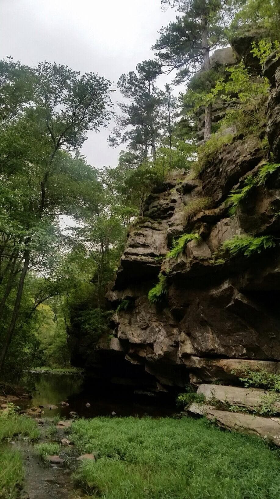 Beautiful hiking at Hawn State Park