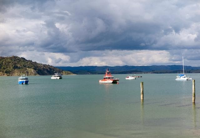 The View From the Wharf