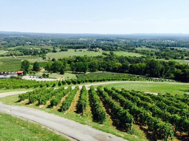 View from Bluemont Vineyard 2nd floor patio
