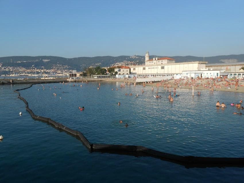 Il pedocin  e il suomuro divisorio