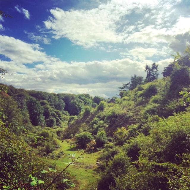 Quarry