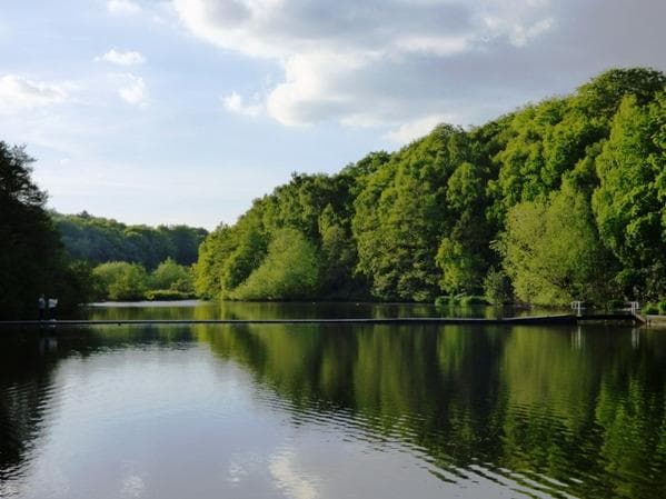 The lake.