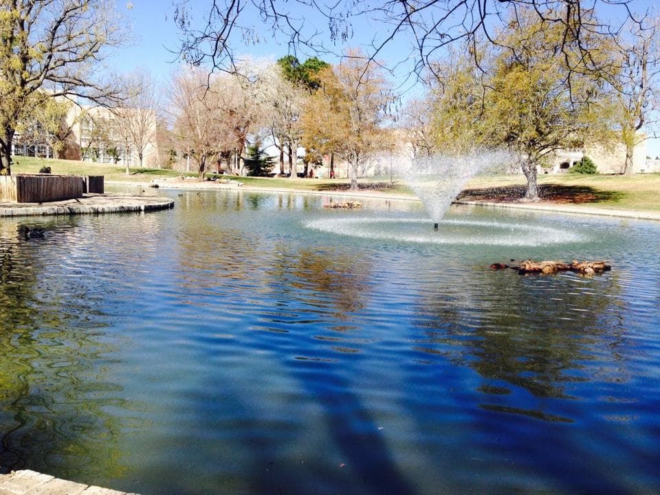 Duck Pond at UNM
