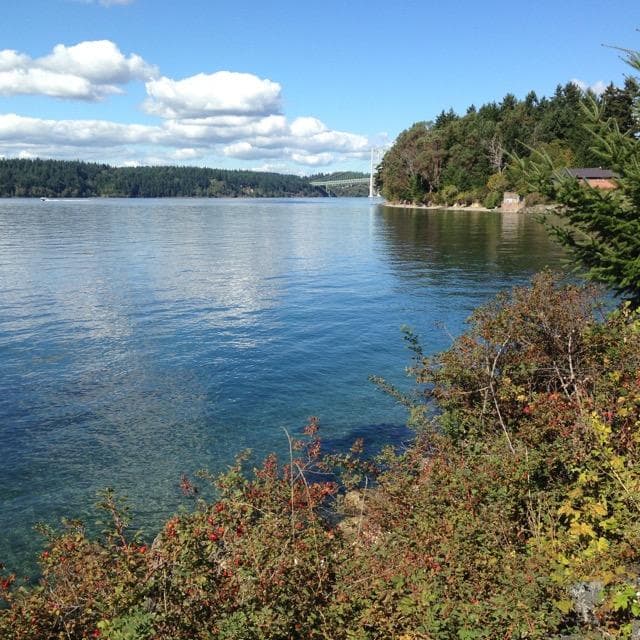 Trail along water.