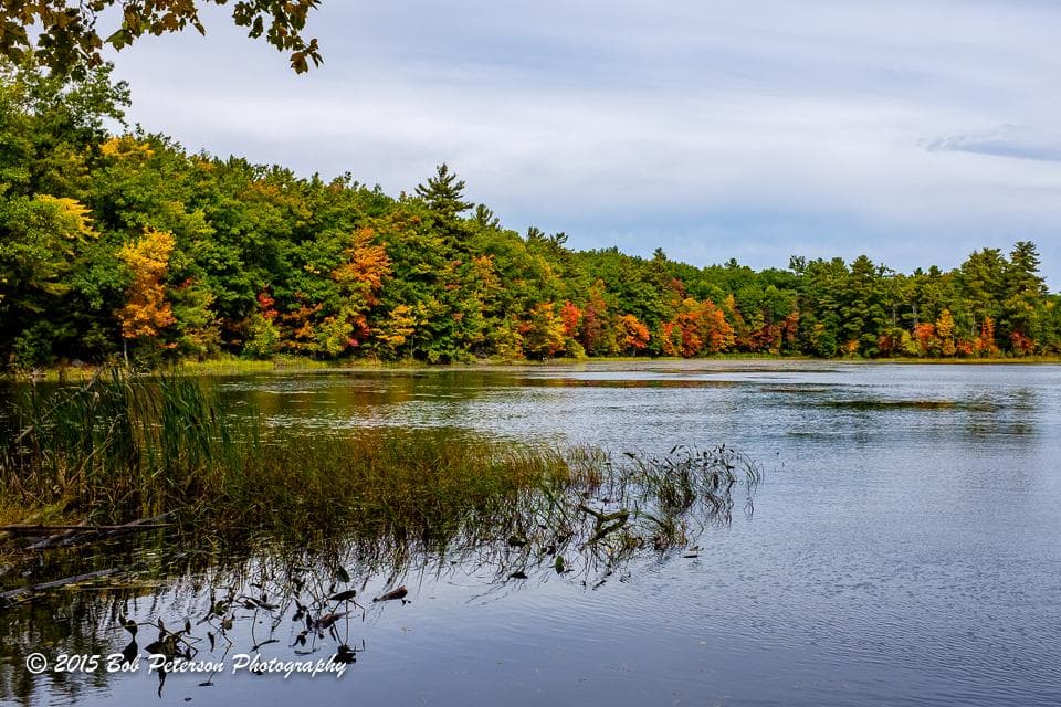 Fall in Livingston Park