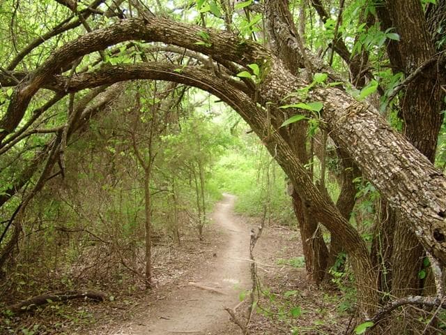 Erwin Park Trail