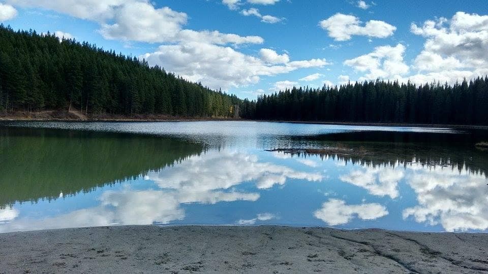 cedar lake reflections