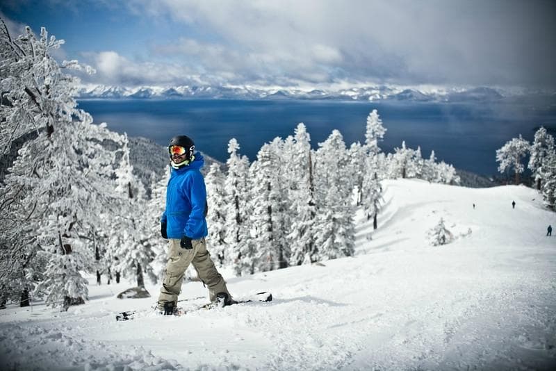 Snow in the trees on Crystal Ridge - Diamond Peak Ski Resort