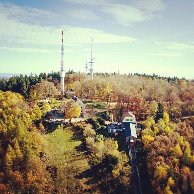 Königsstuhl Heidelberg mit Falknerei.