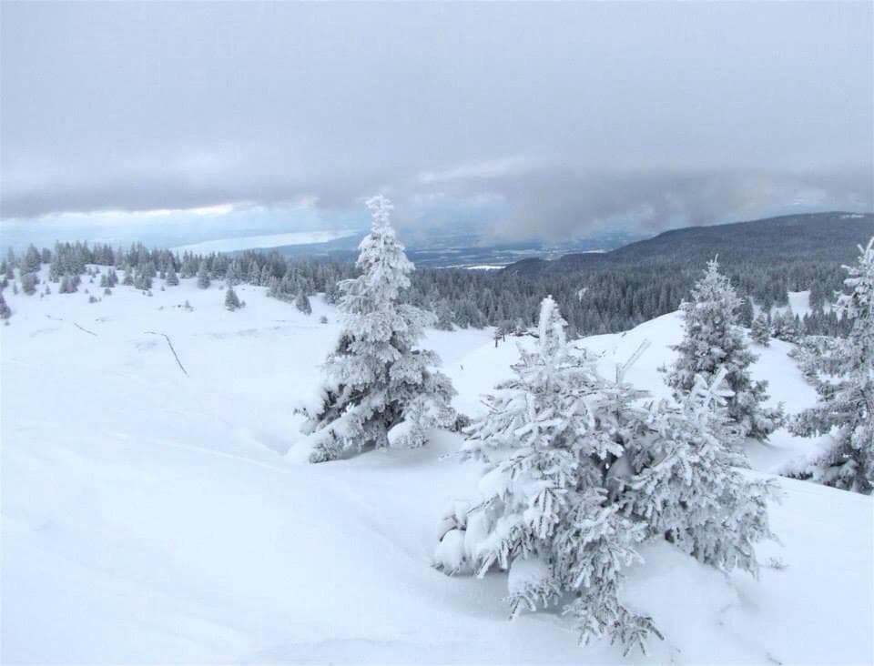 Jura Vaudois Nature Park