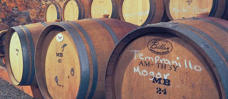 Wine Barrels in the Cellar, Vinicola Mogor Badan