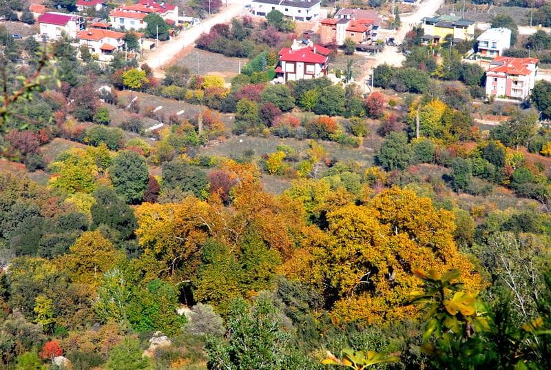 Tepeden Servergazi Türbesi