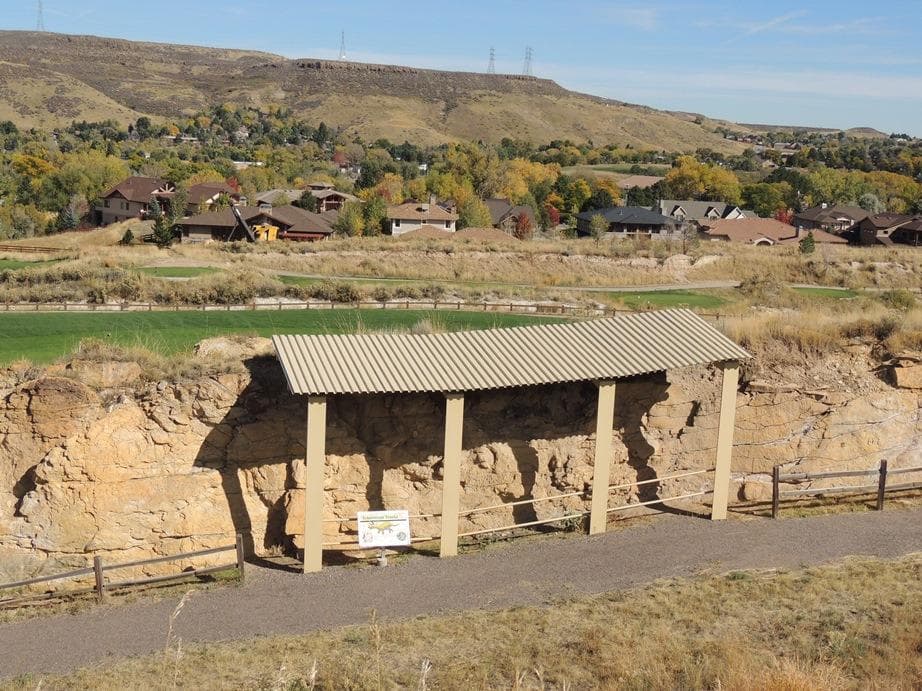 Triceratops tracks shelter