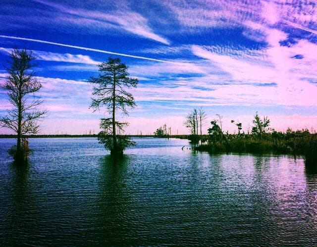 Great Dismal Swamp National Wildlife Refuge