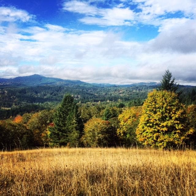 Top of Trail, Fitton Green