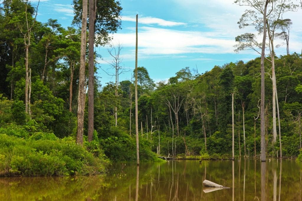 Waduk Sungai Wain