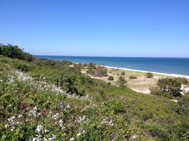 beautiful view!! the best beach in the island!