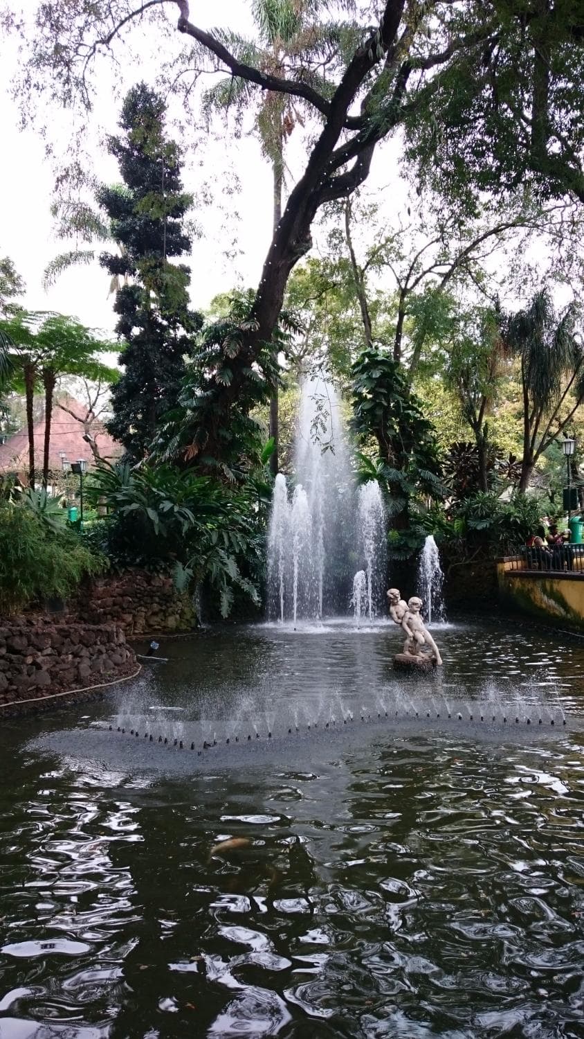 Funchal Municipal Garden