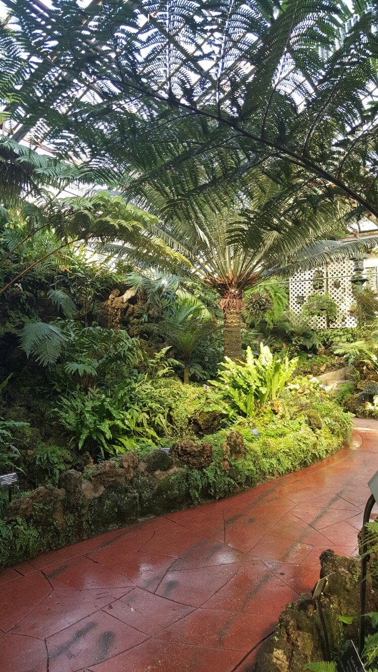Lincoln Park Conservatory