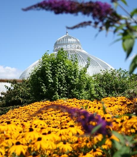 Peace Garden