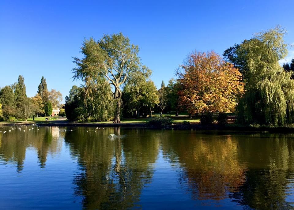 Duck Pond