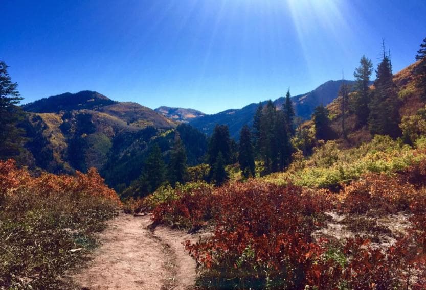 View at top of Elbow Fork trail. [Taken 10/2/15]