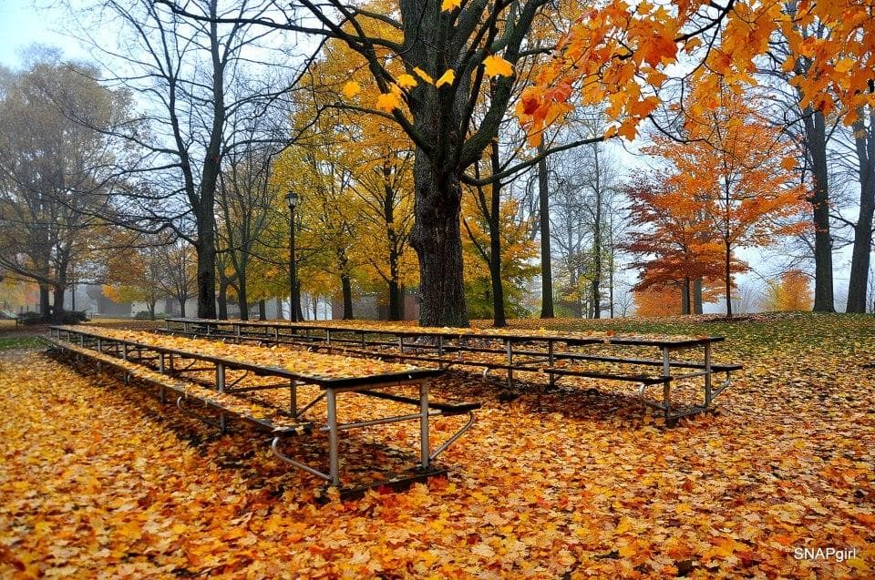 Picnic area