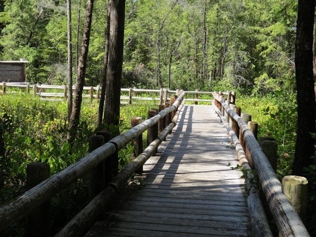 Darlingtonia State Natural Site