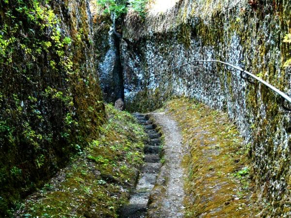 Via Cava Etrusca del Gradone