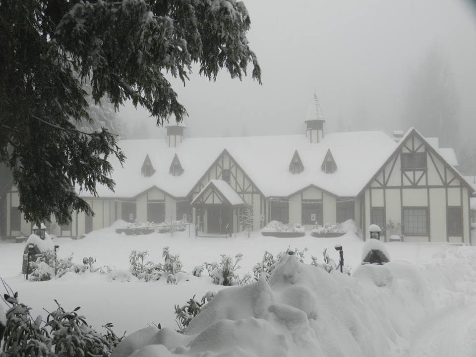 This is a beautiful shot taken of The Tudor House by Glenda Bowling Moore!