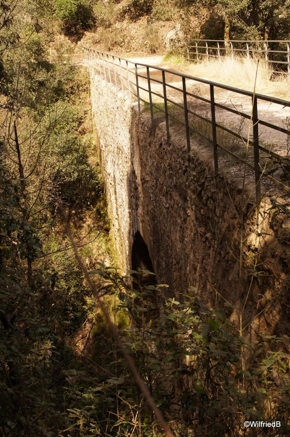 Ponte Sanguineto