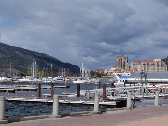 The marina