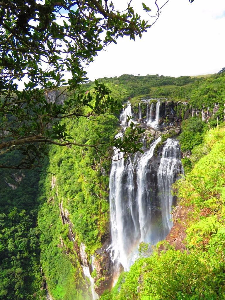 Cachoeira Tigre Preto 1