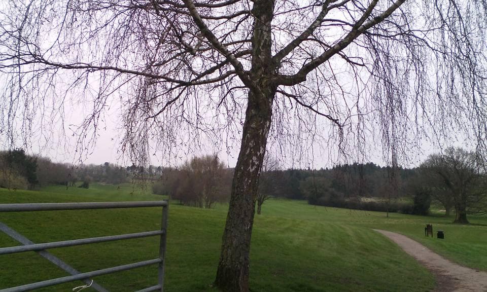 View across golf course