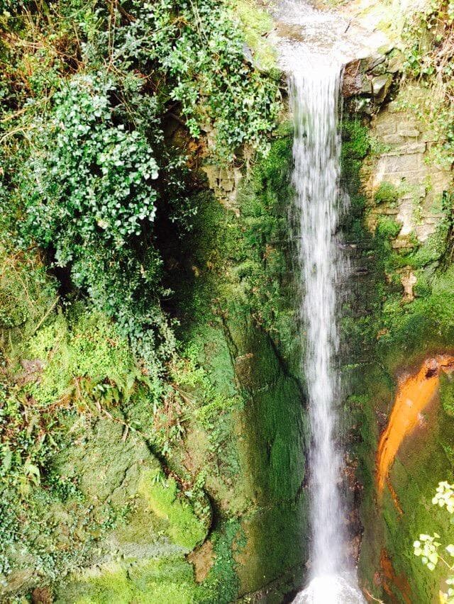 Shanklin Chine