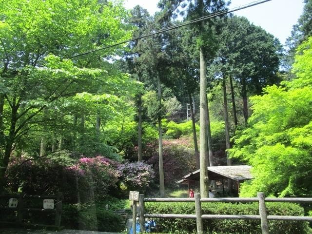 Aburayama Citizen's Forest