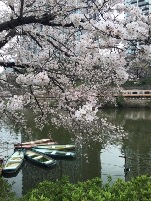 Explore the historic district of Kagurazaka