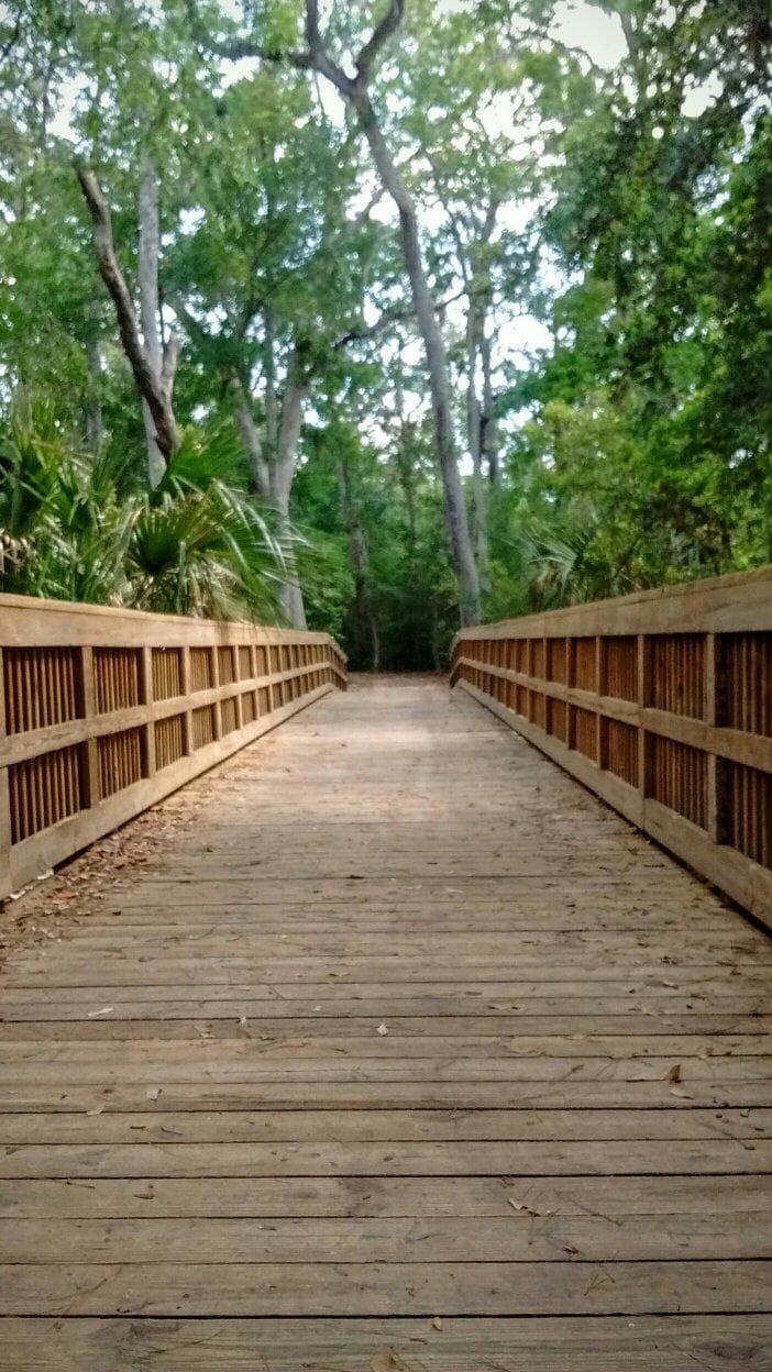 Cradle Creek Preserve