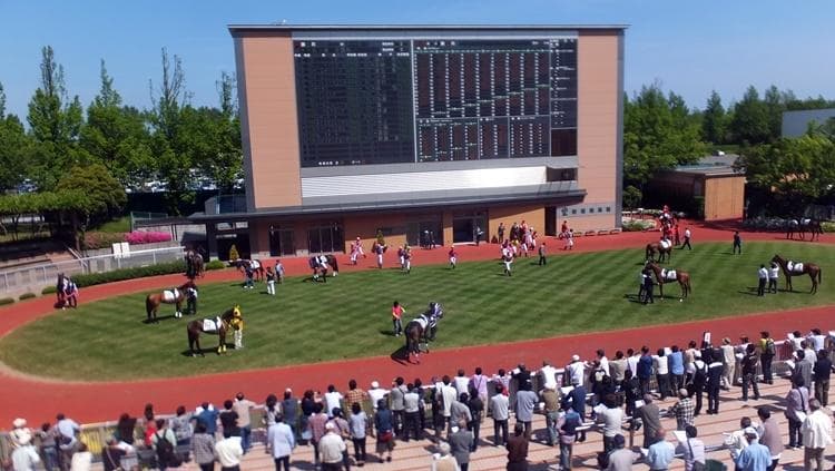 Niigata Racecourse