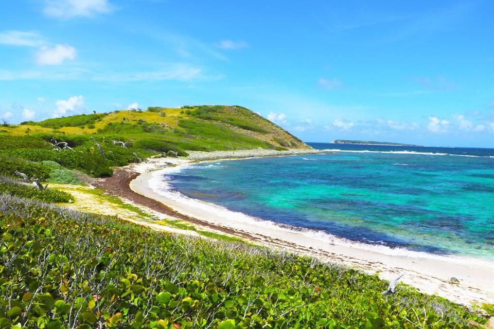 Beach on Far Side of Pinel