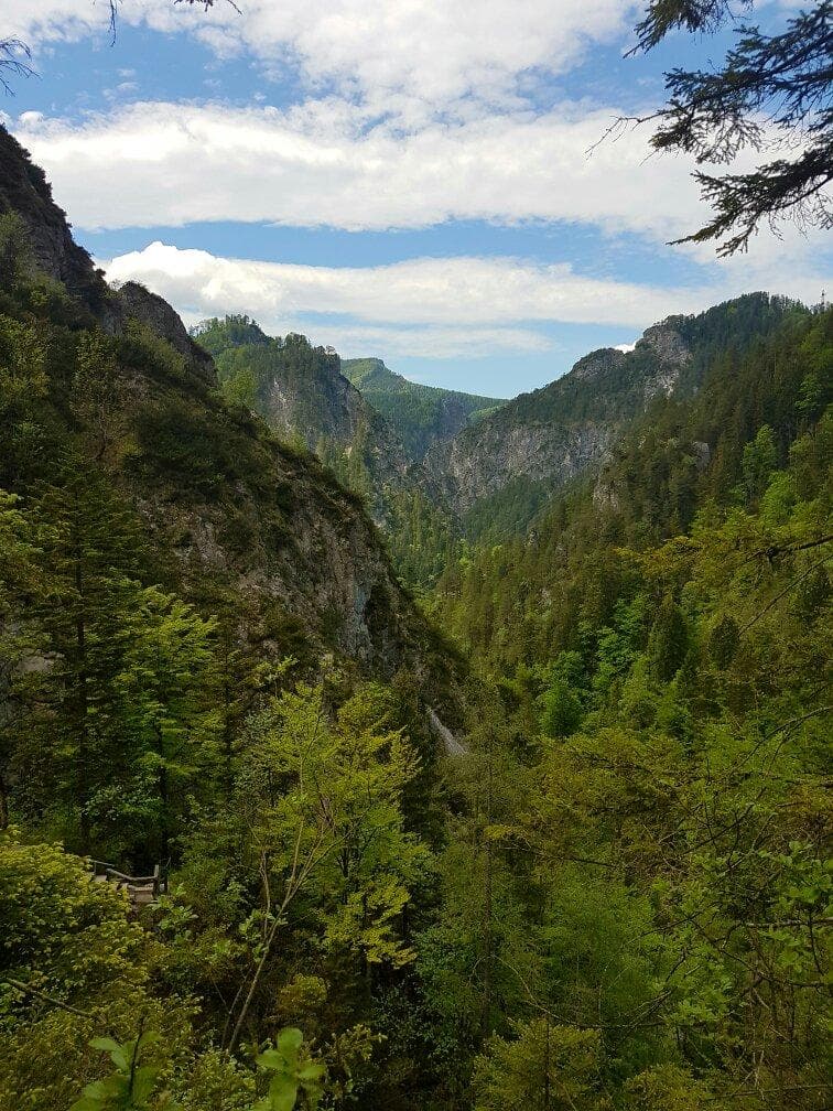 Ötschergräben Gorge