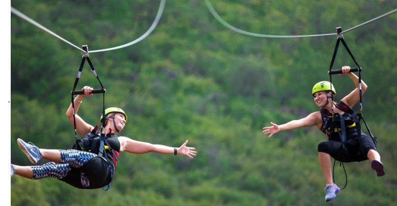 NEW!  Twin Zipline Over the Park