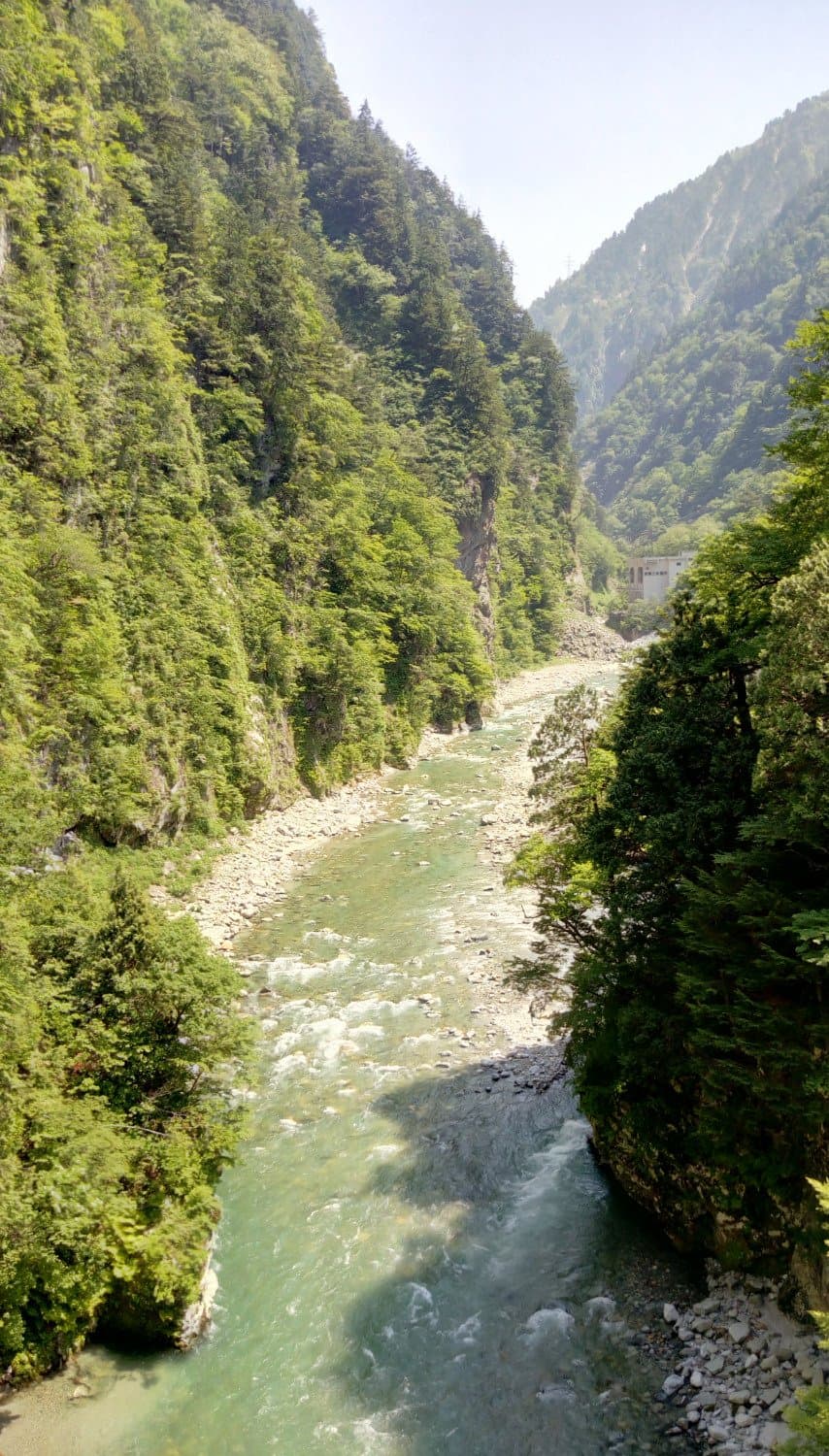 view